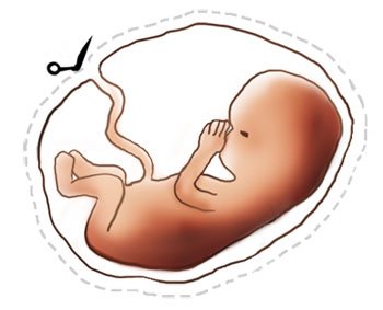 Mi bebé, mi bebé, que lindo mi bebé