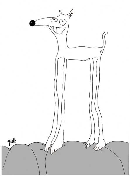 Perro